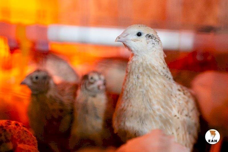    Теперь сельская ипотека - это не про желание выращивать себе еду, а про возможность купить себе жилье недалеко от города с ипотечной ставкой в 3 %