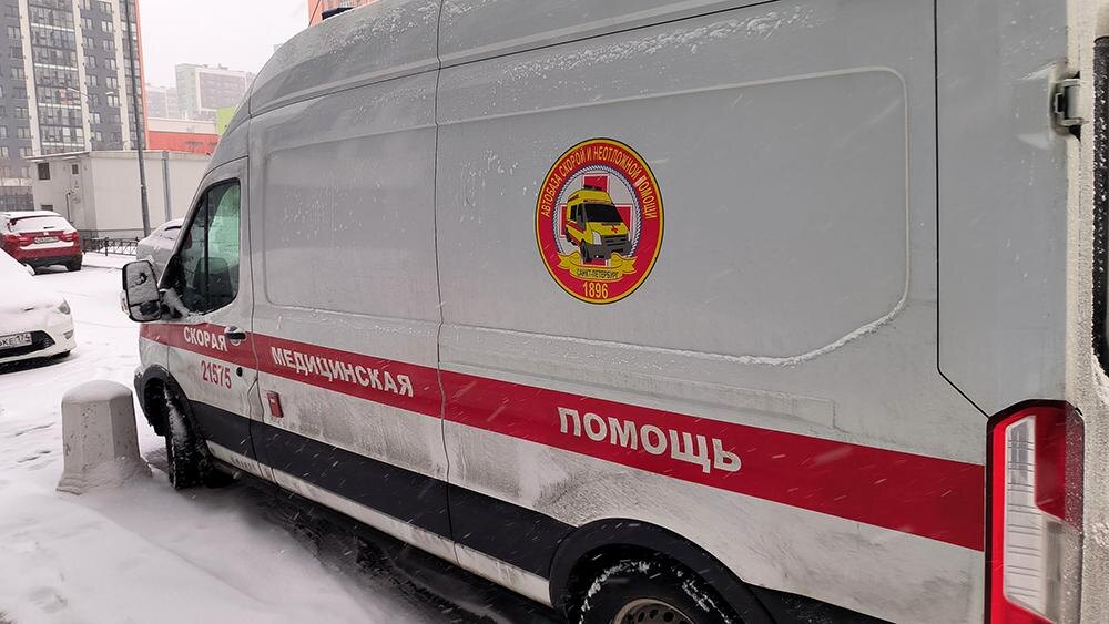    Фото: Maksim Konstantinov/Global Look Press