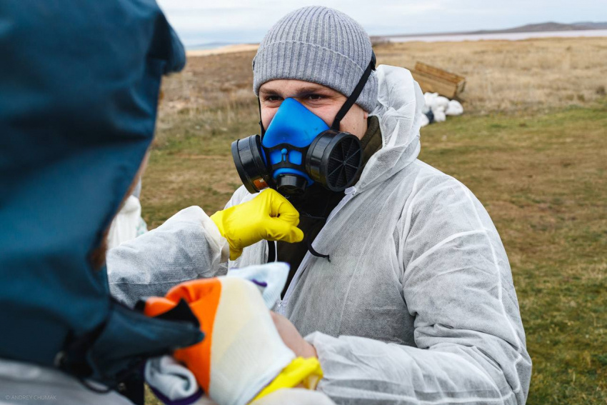 На Черноморском побережье: отравлено свыше сотни человек . Фото: ТГ «МОРЕ КРЫМА"