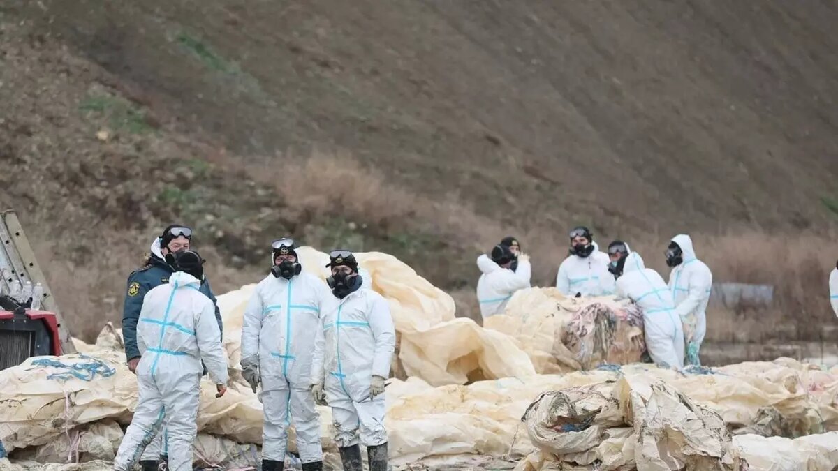     Источник: Администрация Краснодарского края