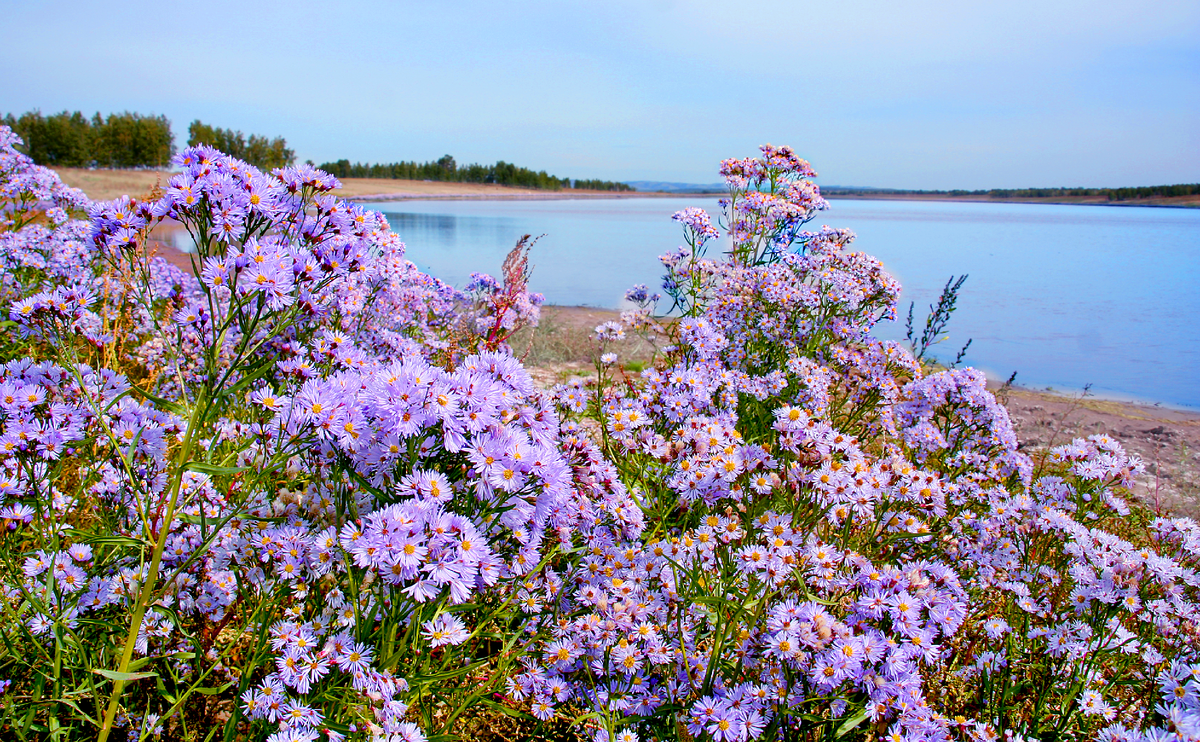 Фотография, стихотворение Василия Глуцкого