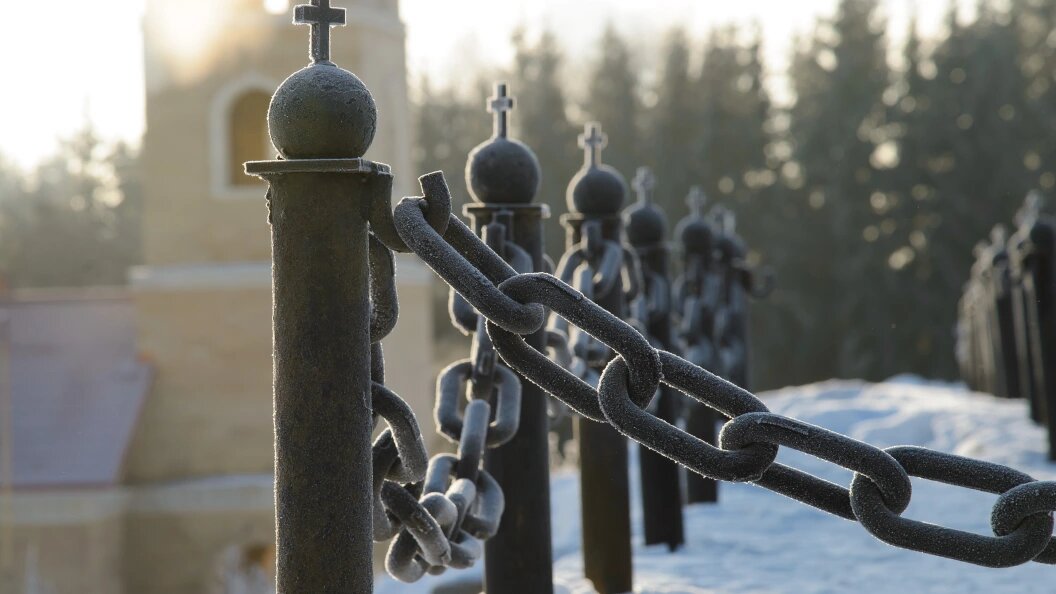    © Dmitry Chasovitin/Globallookpress