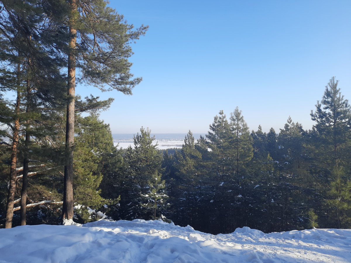 Прогулка по лесному массиву 