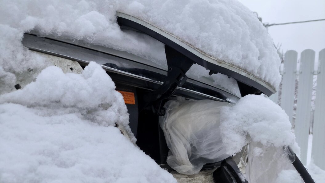    Фото: Maksim Konstantinov/Global Look Press