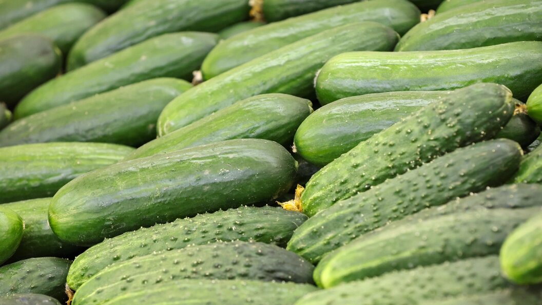    Фото: Belkin Alexey/Globallookpress