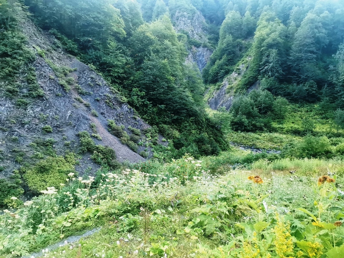 Местечко Мартхал - где сливаются речки Партхал, Куламба и Лыхта, получается Джампал. 