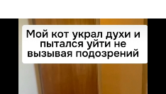 Никто не видит. Никто не видит. Картинки с надписью хозяйкин телефон. Никто не видит. Никто не видит.