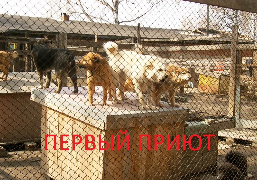 Наружные вольеры