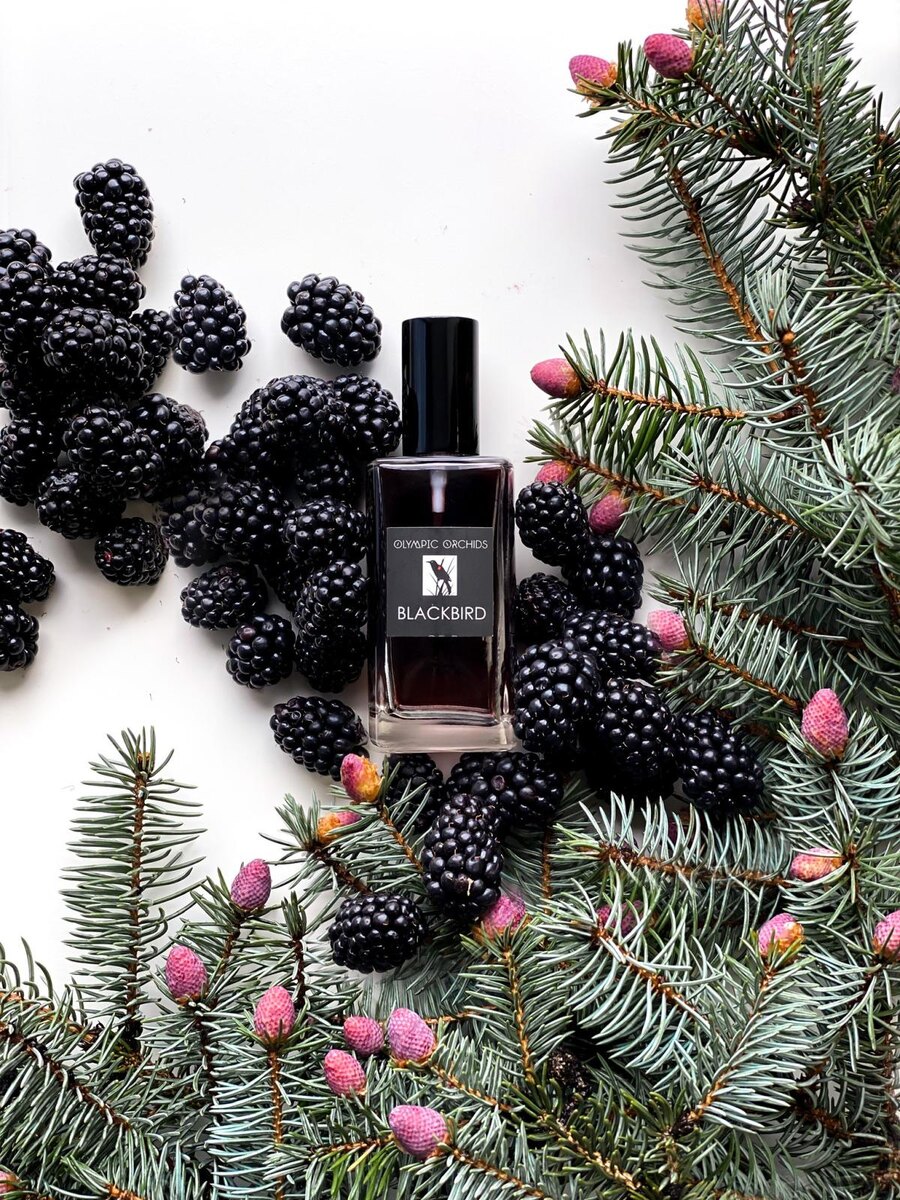 «Blackbird» Olympic Orchids Artisan Perfumes. Фото пользователя Fragrantica Famehooker,
