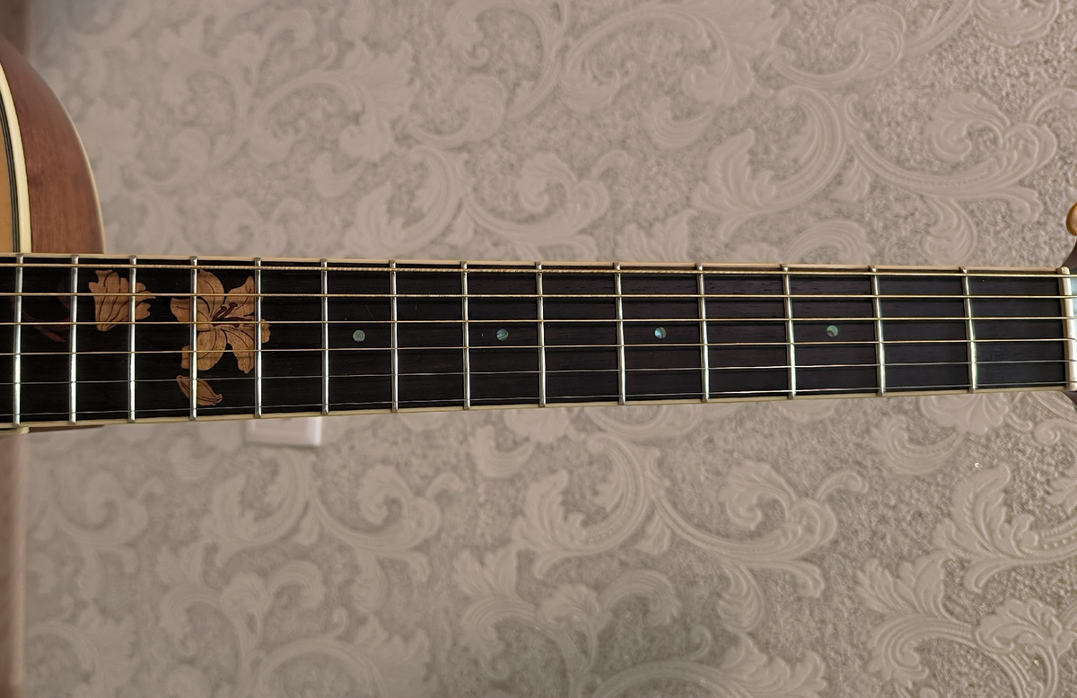 Фотографии для Службы поддержки Crafter: гриф и инкрустация