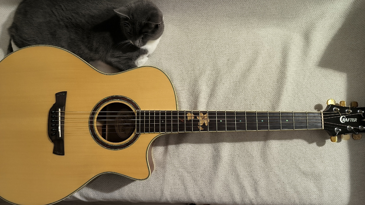 Фото для Службы поддержки Crafter: гитара целиком