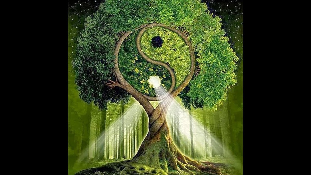 изображение взято из открытых источников