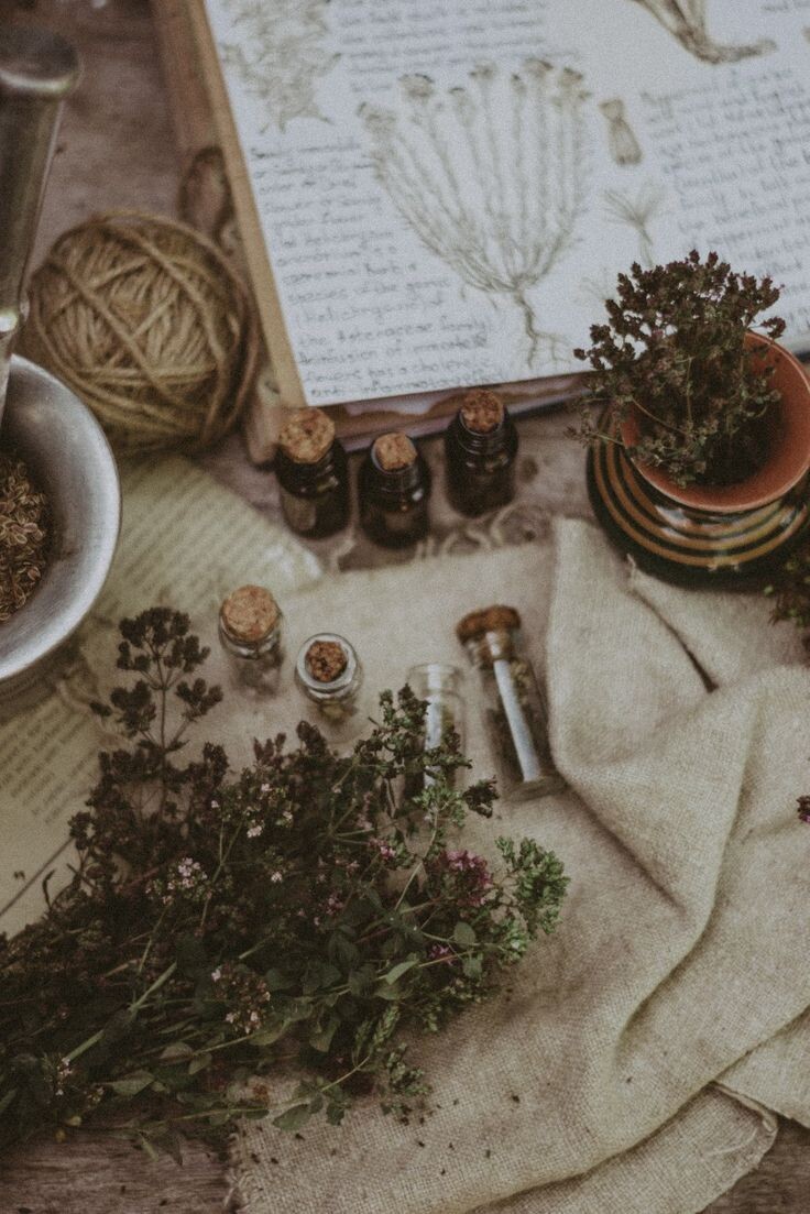 Магия очищения | Колесо Года | Pink Witch