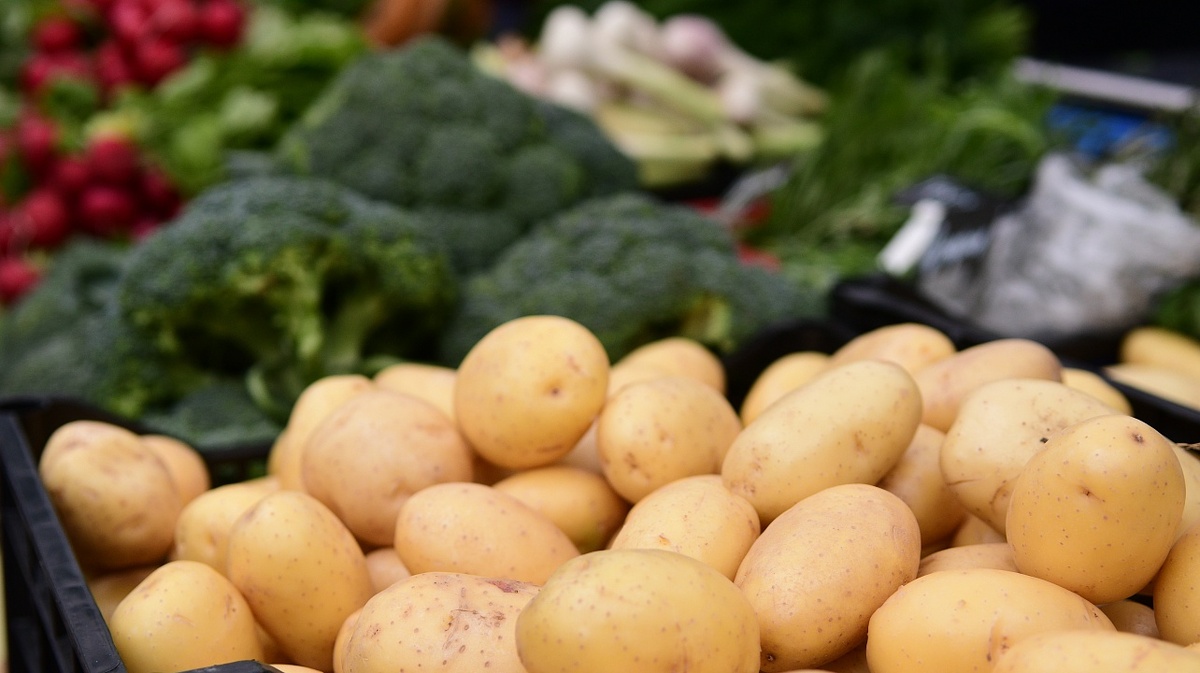     Фото: Александр Райко