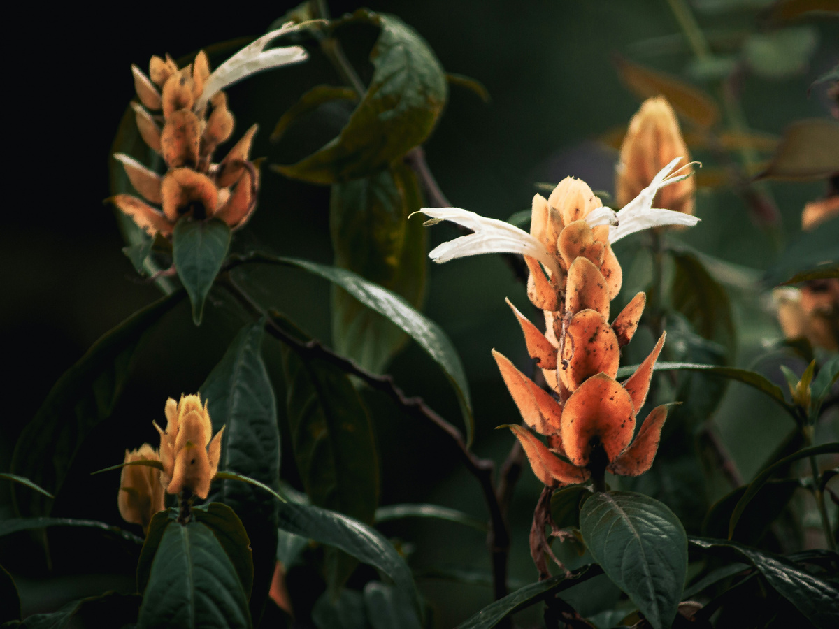 Картинка с бесплатного фотостока https://unsplash.com, автор Walyudin