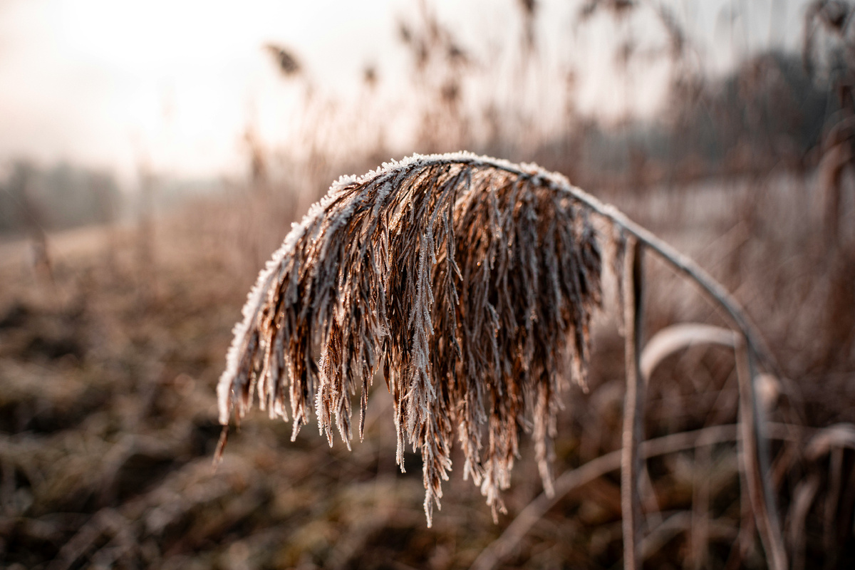 Картинка с бесплатного фотостока https://unsplash.com, автор Alpha Perspective