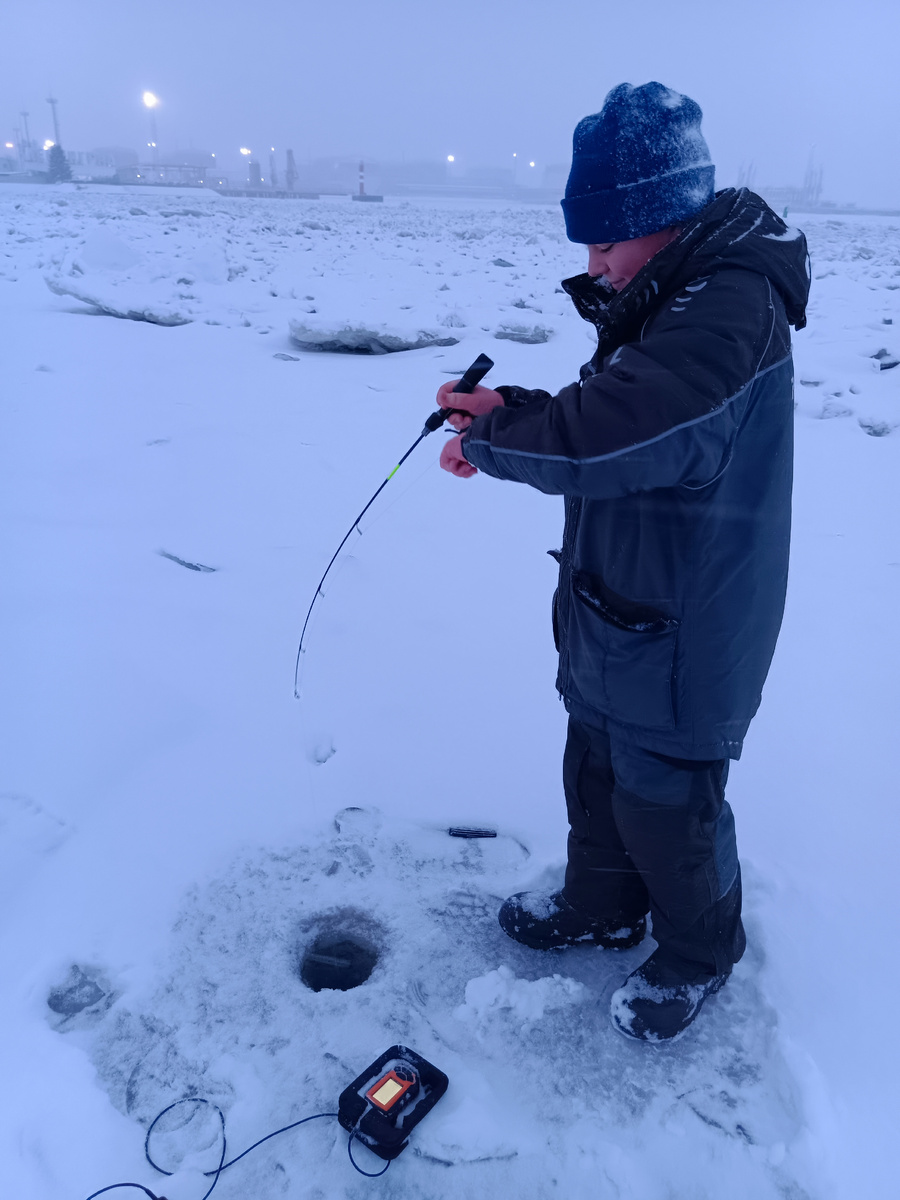 3790 судака тащит