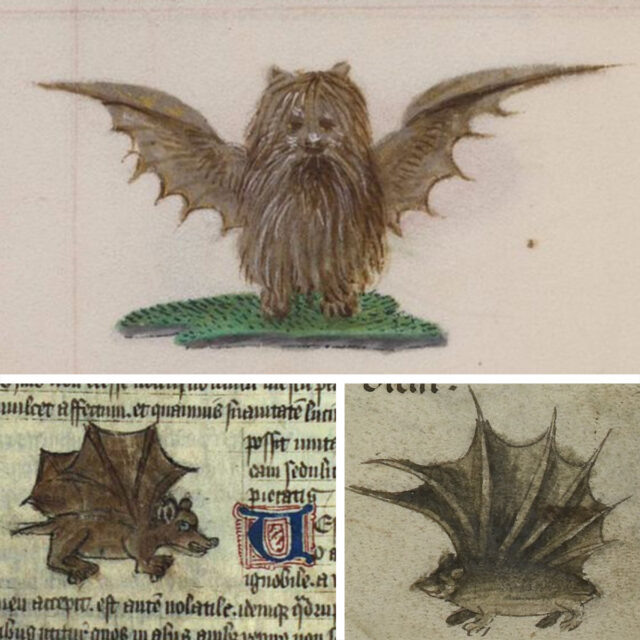 Средневековые миниатюры, изображающие летучих мышей