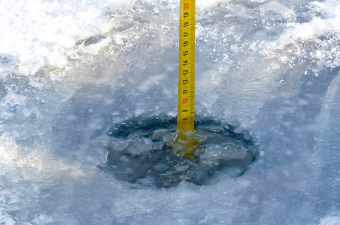 Фото взято с Яндекса.