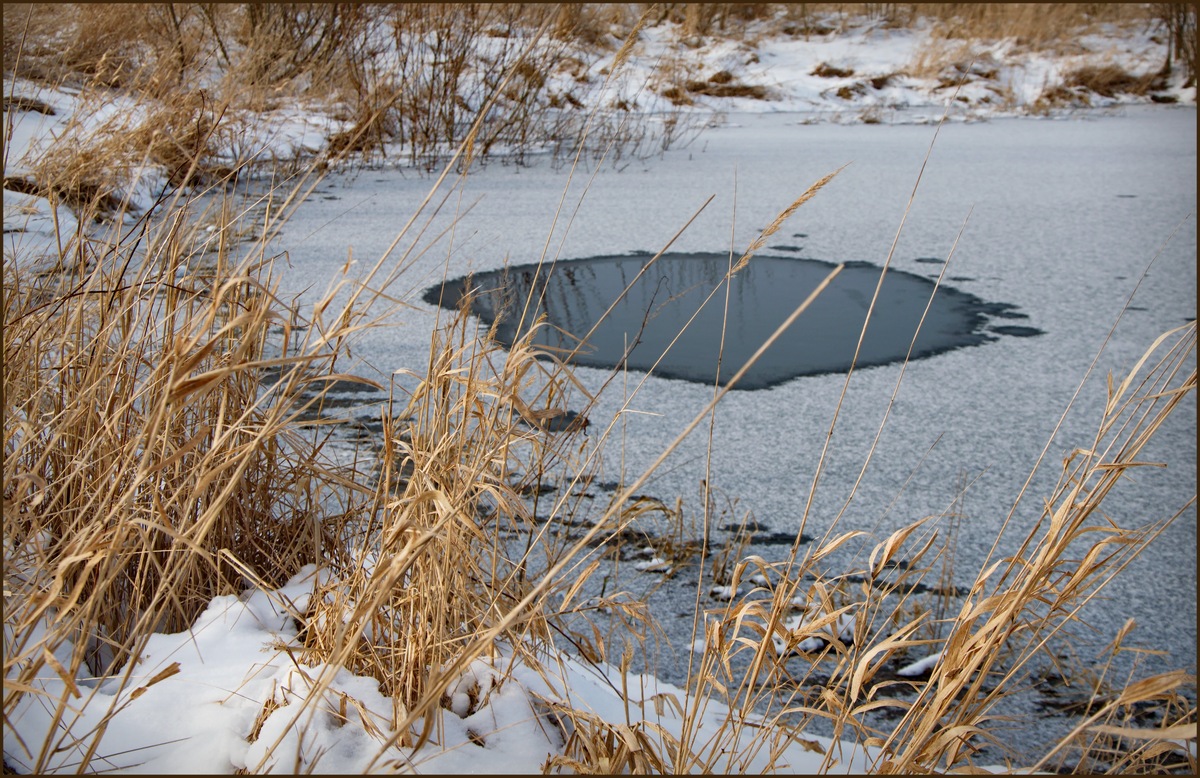 Фото взято с Яндекса.