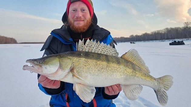     Рыбак с уловом. Источник: nsktv.ru Автор фото: Антон Харланов / Fishingsib.ru