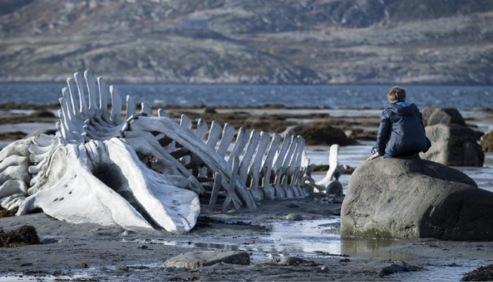 Источник: «Яндекс Путешествия» / travel.yandex.ru