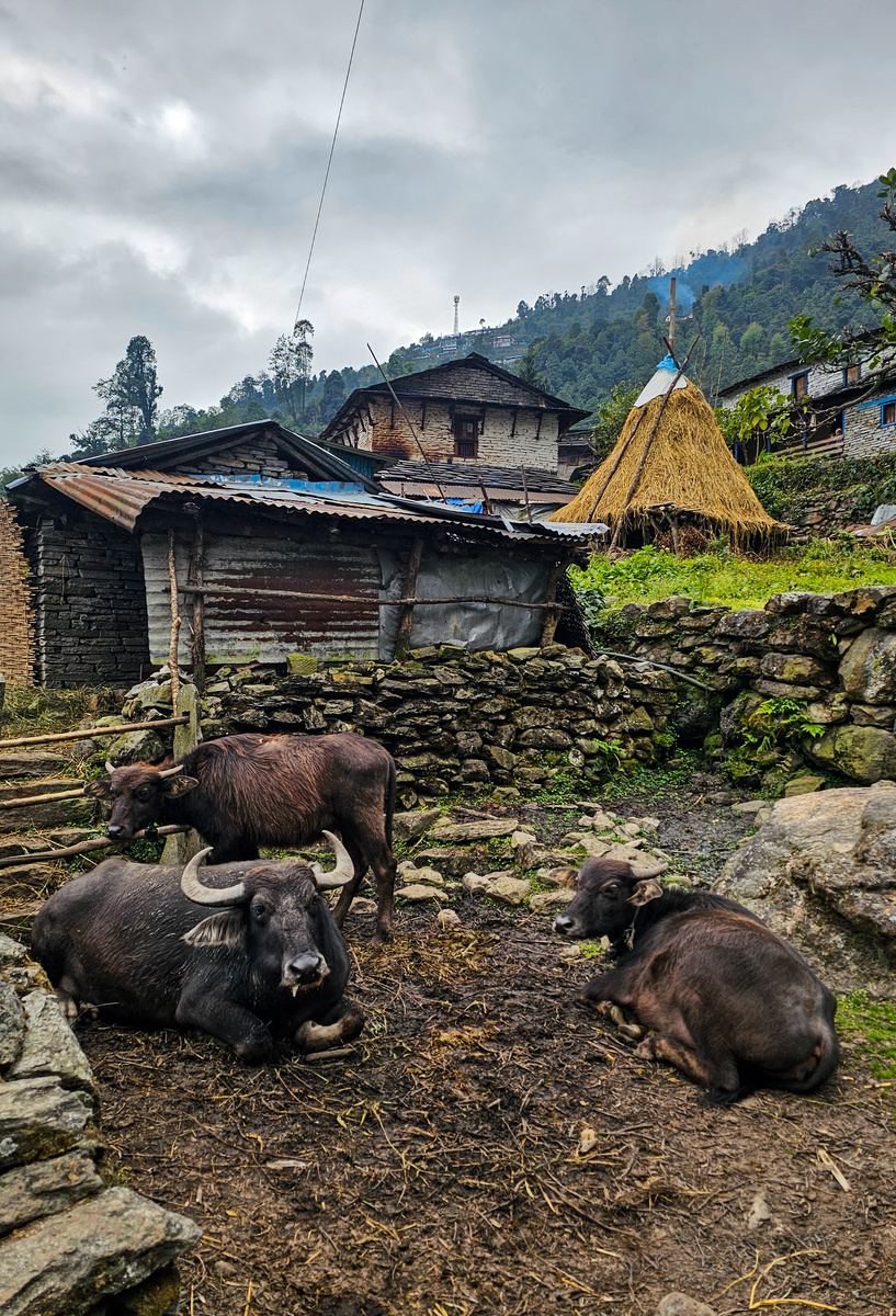Чомрунг – идеальное место, чтобы устроить днёвку. 