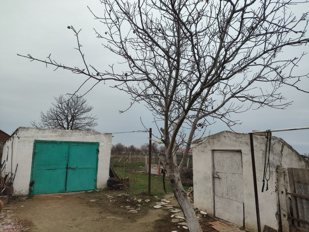 Серое-серое небо, и сильный-сильный ветер...