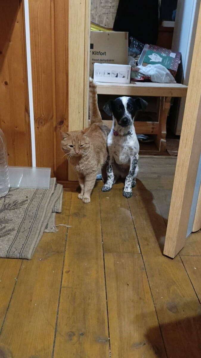 Актуальный размер Бима на этом фото понятен