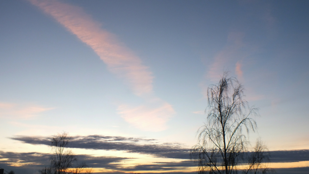    Фото: VICTOR LISITSYN/GLOBALLOOKPRESS