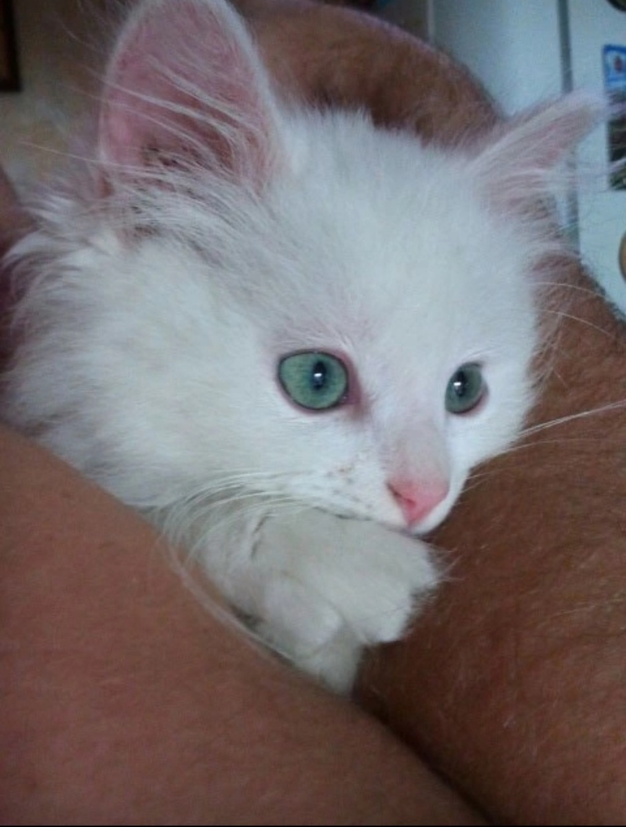 Первые пару месяцев она росла на руках у мужа