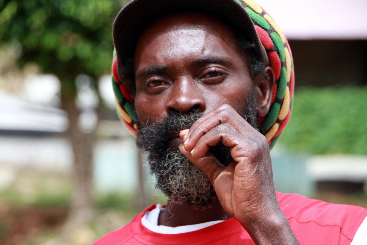 чернолиций не с Аджмана . фото из интеренета