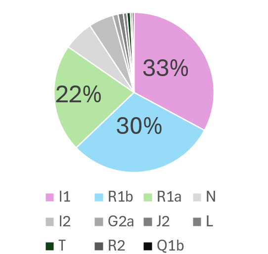 Гаплогруппы Y-хромосомы викингов, "Population genomics of the Viking world".