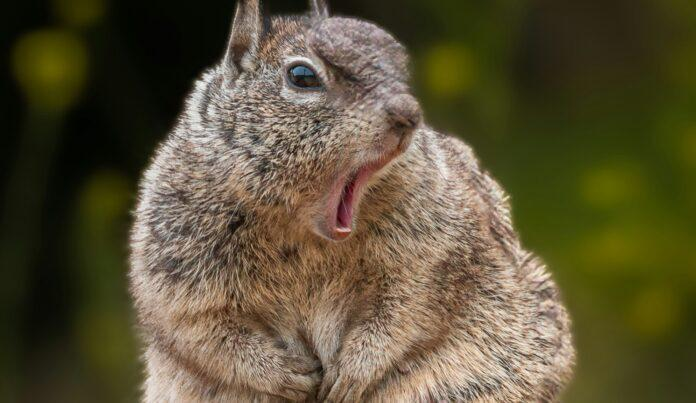 Фото: unsplash.com