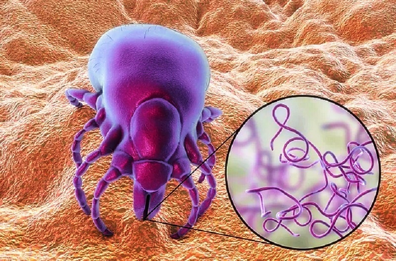 Изменённое изображение для оформления статьи 