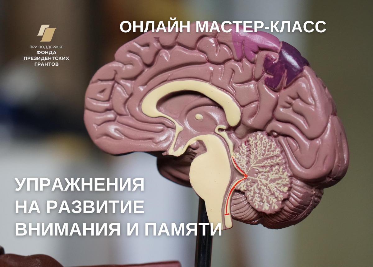 фото Unsplash.com