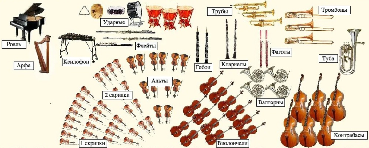 Распределение инструментом относительно дирижёра