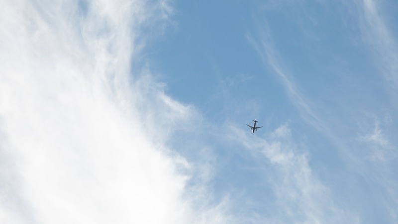      Фото: Валерия Алтухова / / ИА «Победа26»