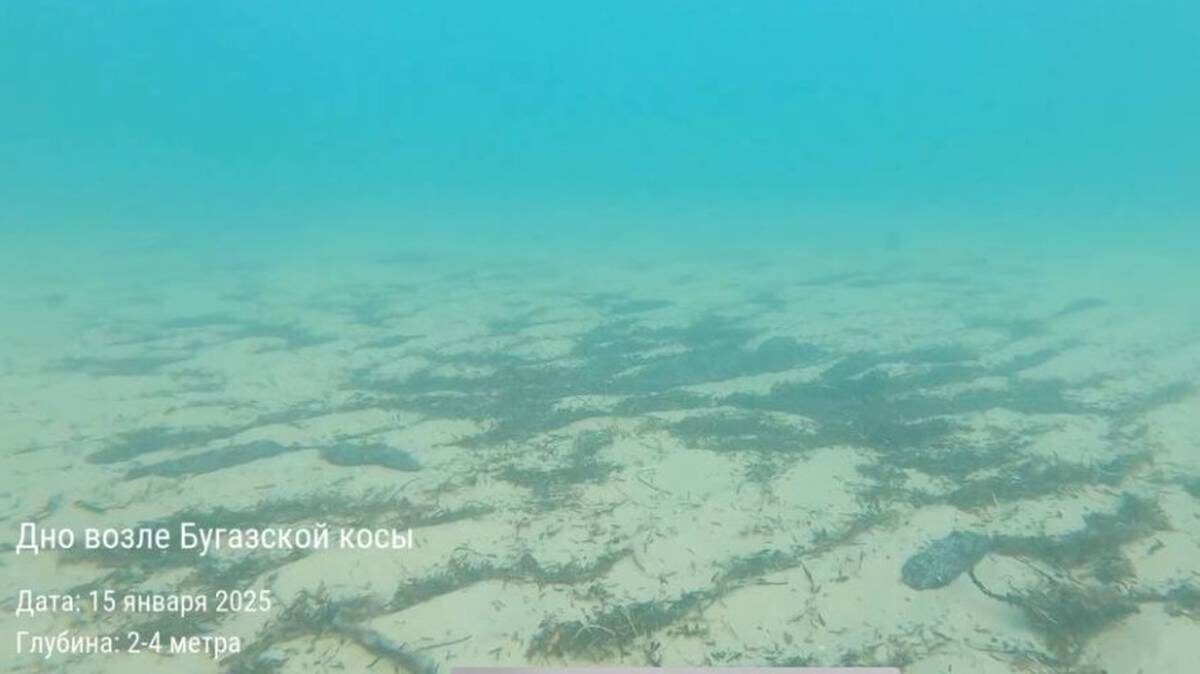    Фото: Пресс-служба экопроекта «Земля касается каждого»