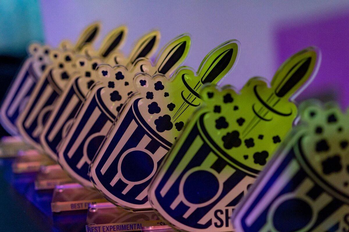 Призы кинофестиваля Short Shot Fest