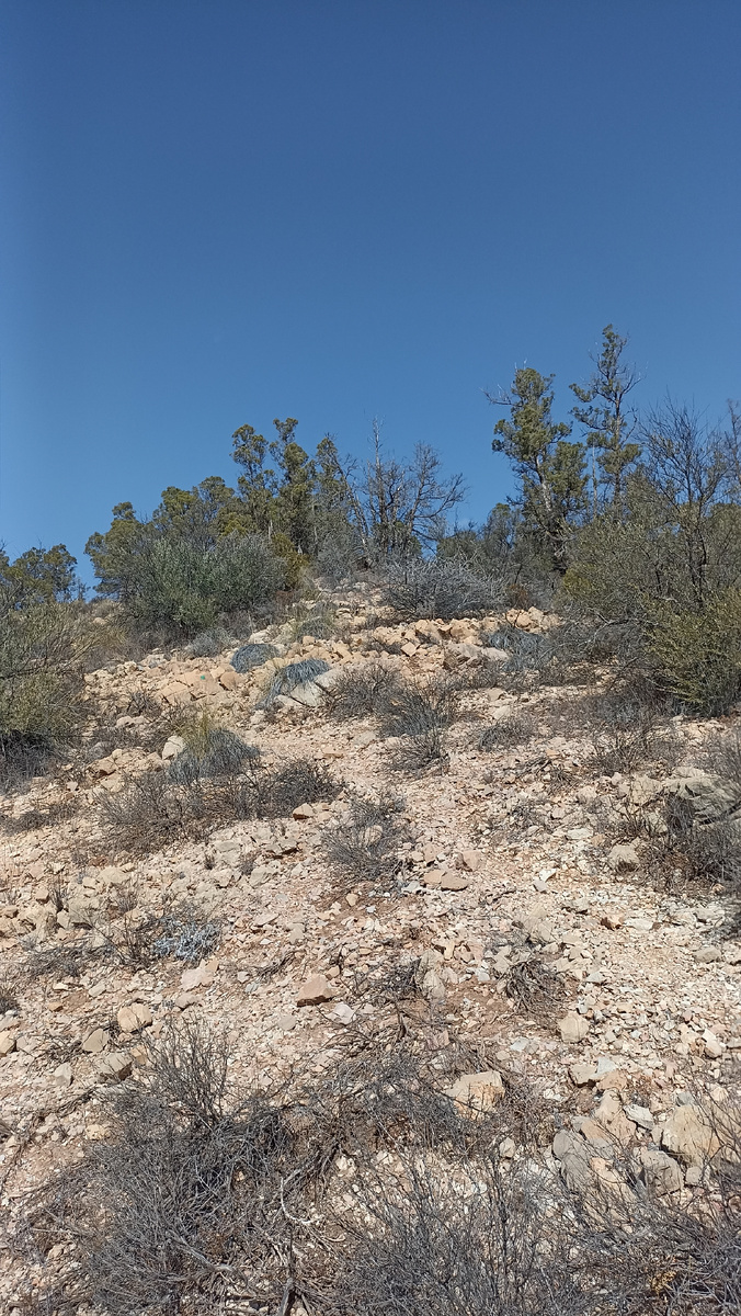 Перед вершиной