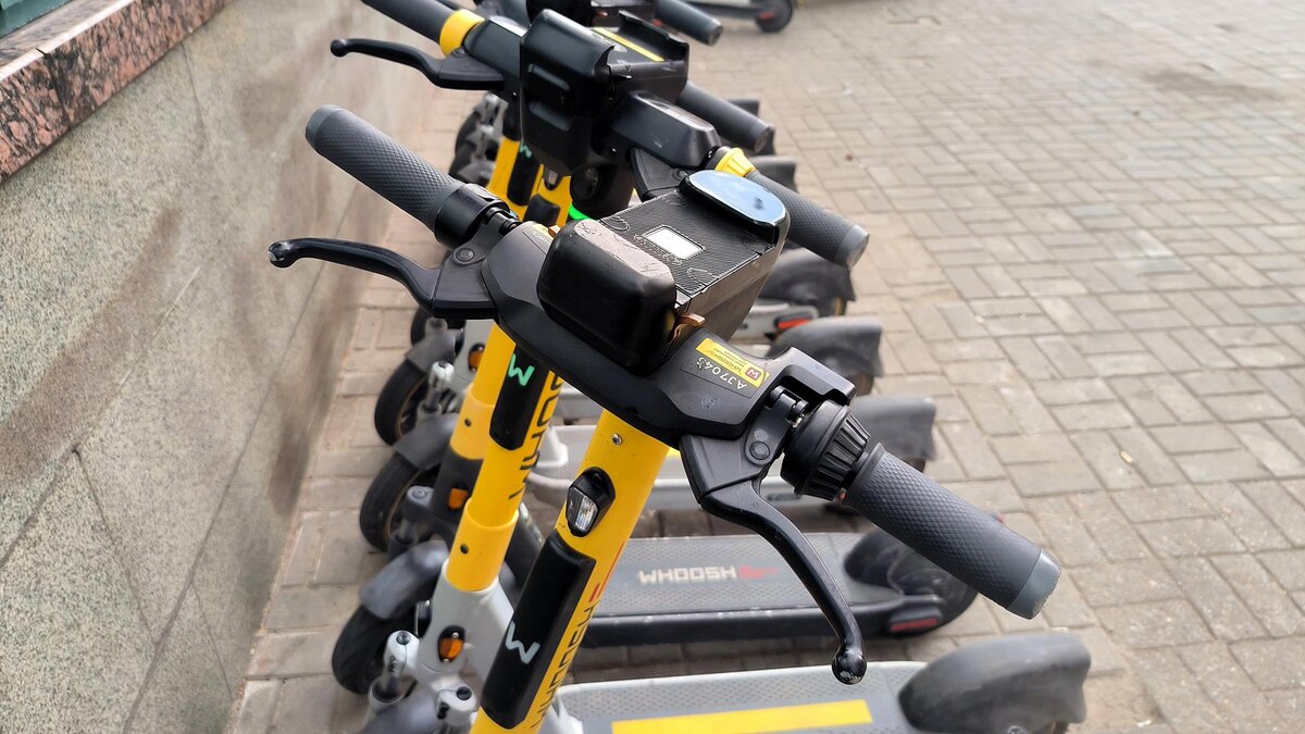    Фото: Maksim Konstantinov/globallookpress.com