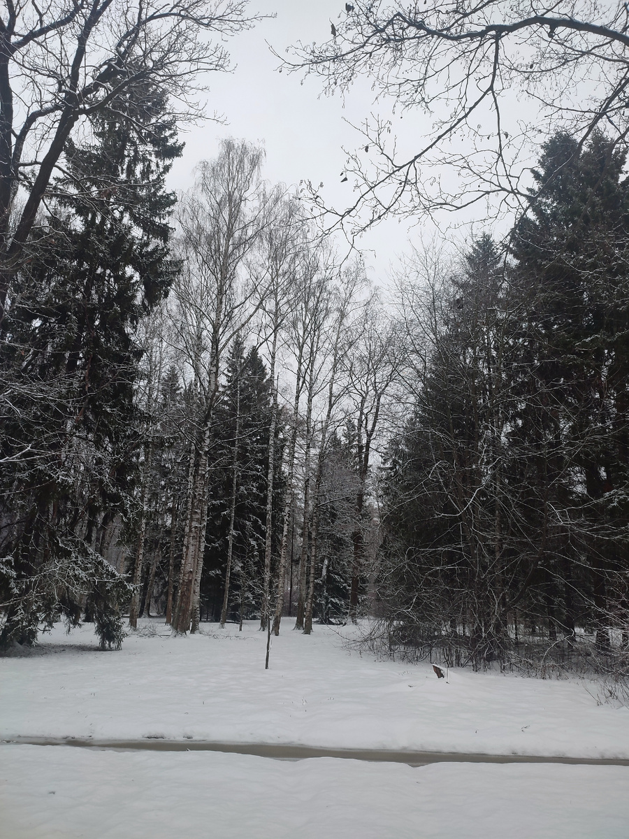 Зима, снег, предновогоднее настроение!