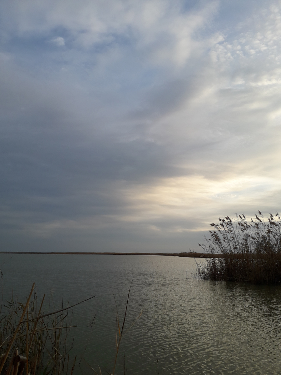 Горький лиман