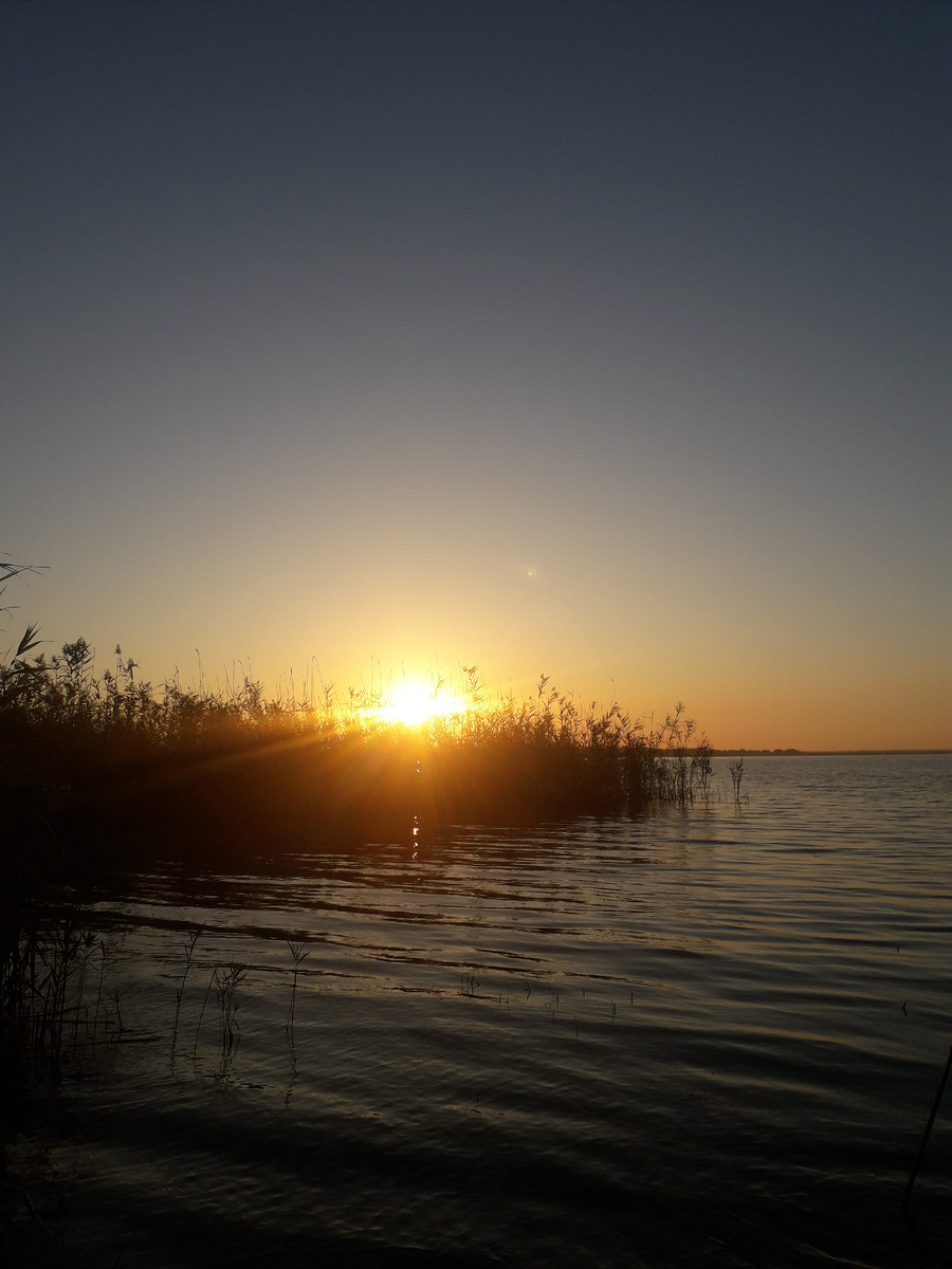 Сладкий лиман