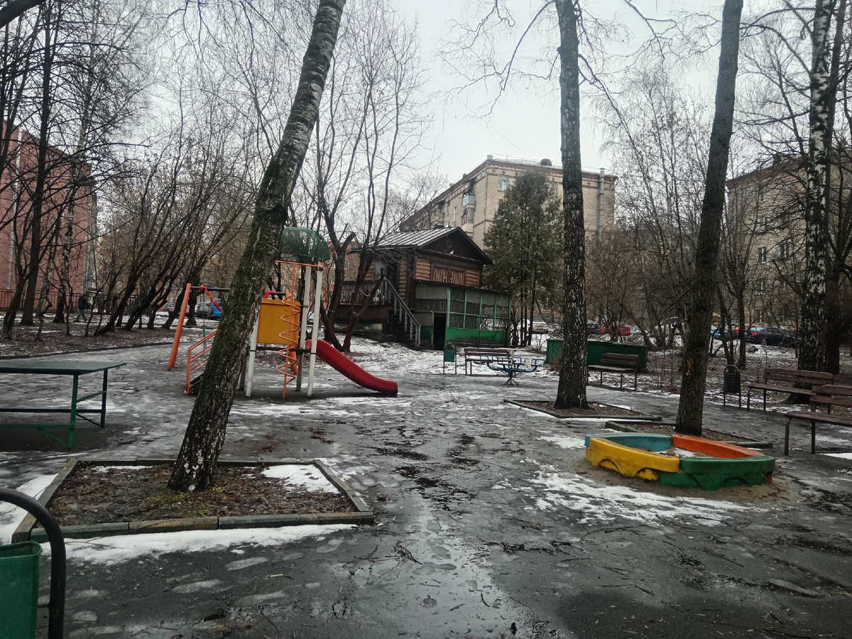 Вид на голюбчтнию из сруба, из статьи, на которую я ссылаюсь в начале. 