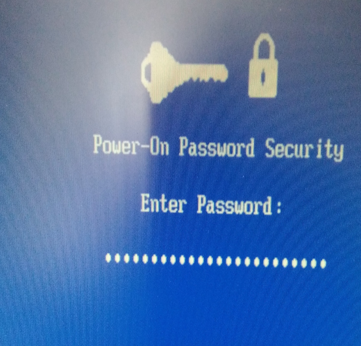 Дальнейшая загрузка невозможна без введения пароля.