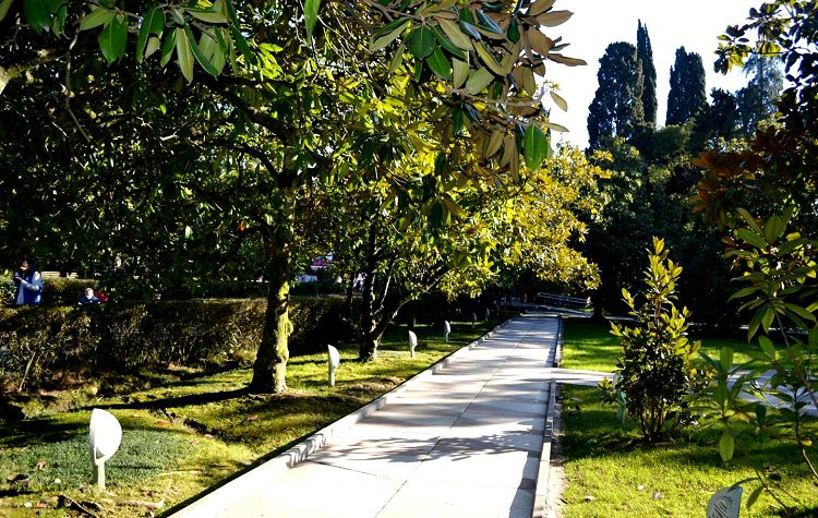 Парк "Ривьера". Фото с сайта https://russo-travel.ru/landmark/sochi/park-rivera-sochi/. Взято с Яндекс.Картинки