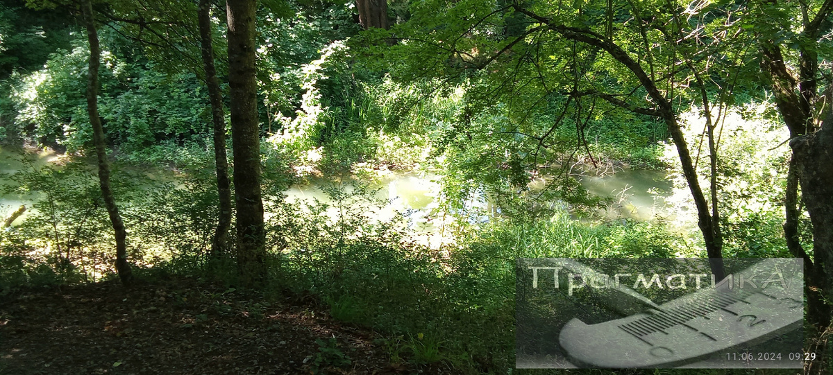 Мечта. Горячеключесвкой район. Краснодарский край.