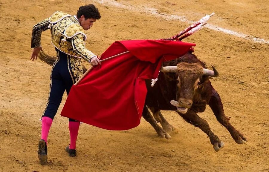 Коррида. Наглядный пример победы "человека" над "зверем" (технологии над силой).